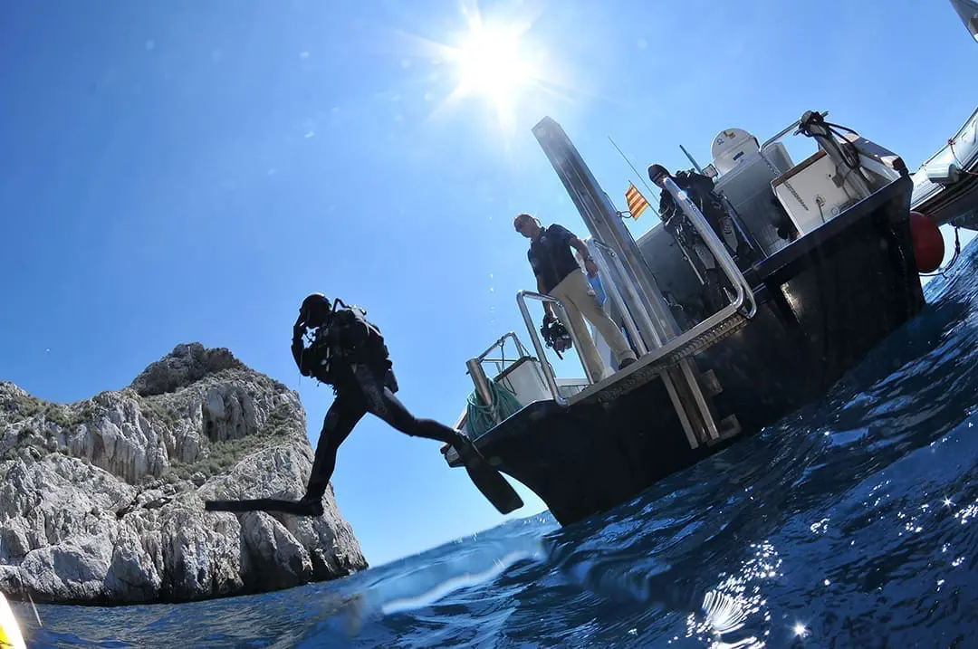 El Rei del Mar