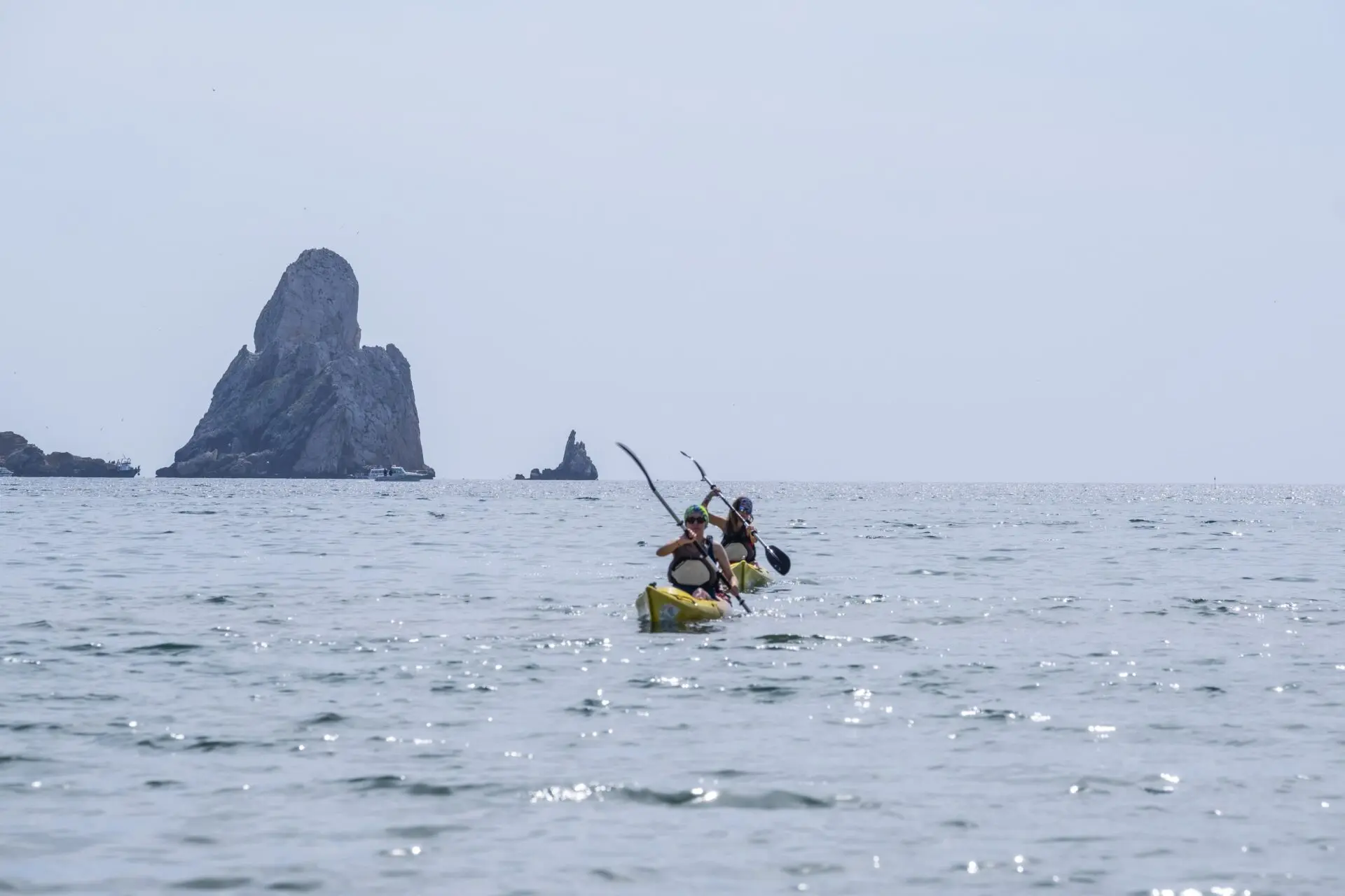 A thousand water activities