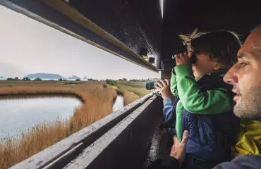 Learn from the park