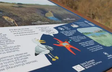 Visites autoguiades per descobrir l'Estartit 