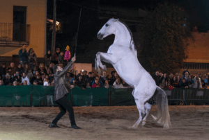Exhibició eqüestre de Miron Bococci