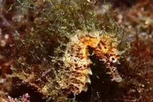 Foto: Irene Bolea Tomás and Iván Gómez Gutiérrez and Ignasi Xavier Diez