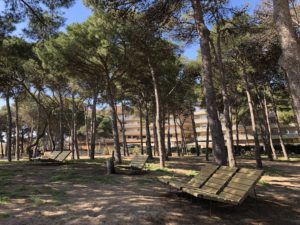 Uns bancs del Parc de la Pineda de l'Estartit