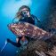 L’Estartit accueillera le Championat d’Espagne de photographie sous-marine