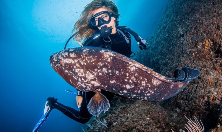 L’Estartit will host the Spanish Championship of underwater photo and video